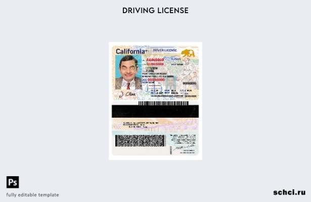 цифровая загрузка шаблона USA California DL (январь – настоящее время)